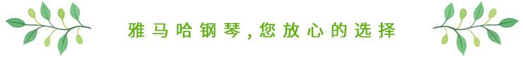这才是真相：绿色关爱，FH至尊的环境政策