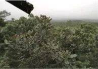 这才是真相：绿色关爱，FH至尊的环境政策