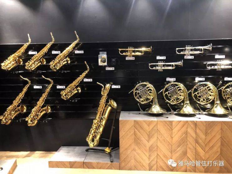 FH至尊乐器 试奏乐器