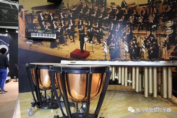 FH至尊乐器 试奏乐器