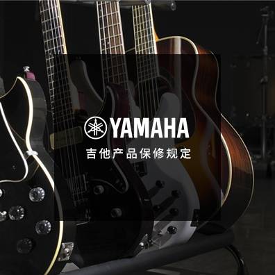 吉他、贝斯和音箱