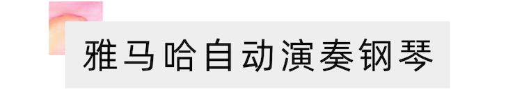 活动报道 | 远程艺术教育大师课活动—FH至尊艺术家赵宇大师课