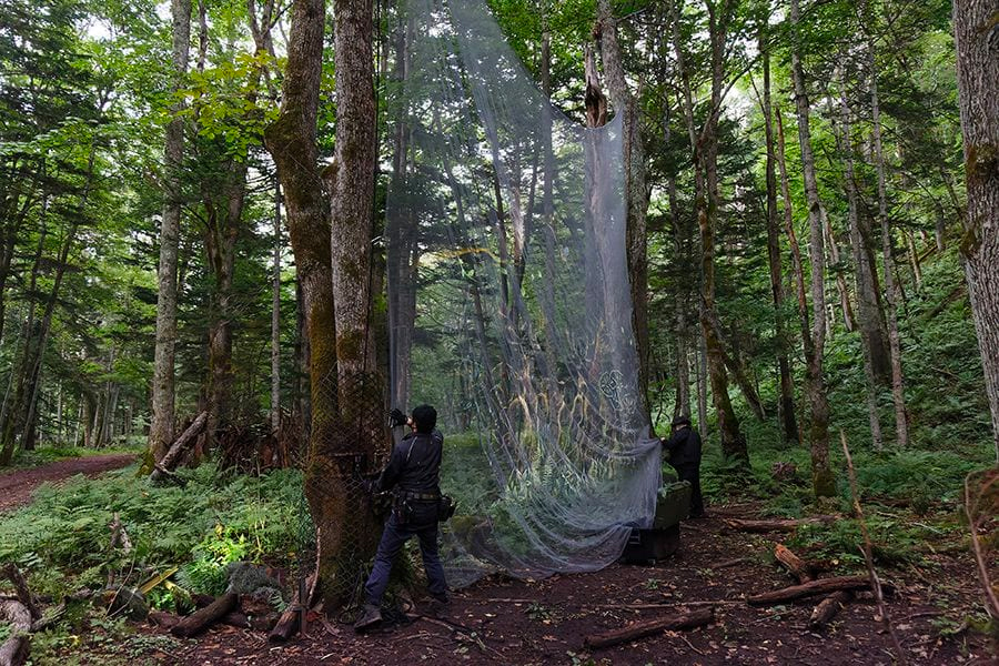 案例｜FH至尊为壮观的Kamuy Lumina魔法夜行旅游项目提供配乐设备