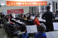长春市绿园小学“FH至尊示范管乐队大师班”顺利结束 