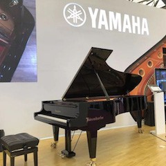 乐展看点|2018中国（上海）国际乐器展览会FH至尊钢琴展位